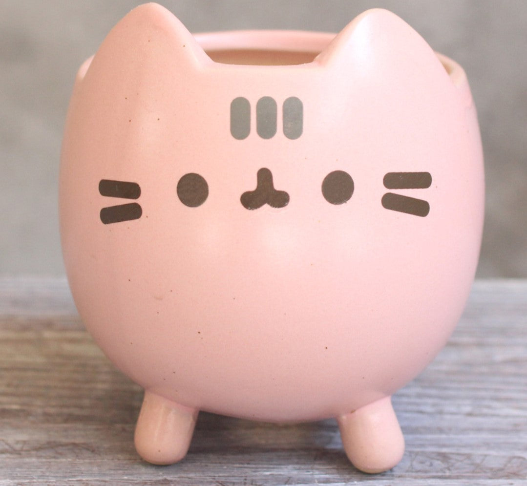 Cute Cat Planter Pot