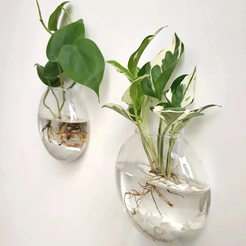 Wall-Mounted Glass Vase, Wall Hanging Hydroponic Glass Flowerpot, Transparent Half Globe Shape Glass Plant Container, Fish Tank