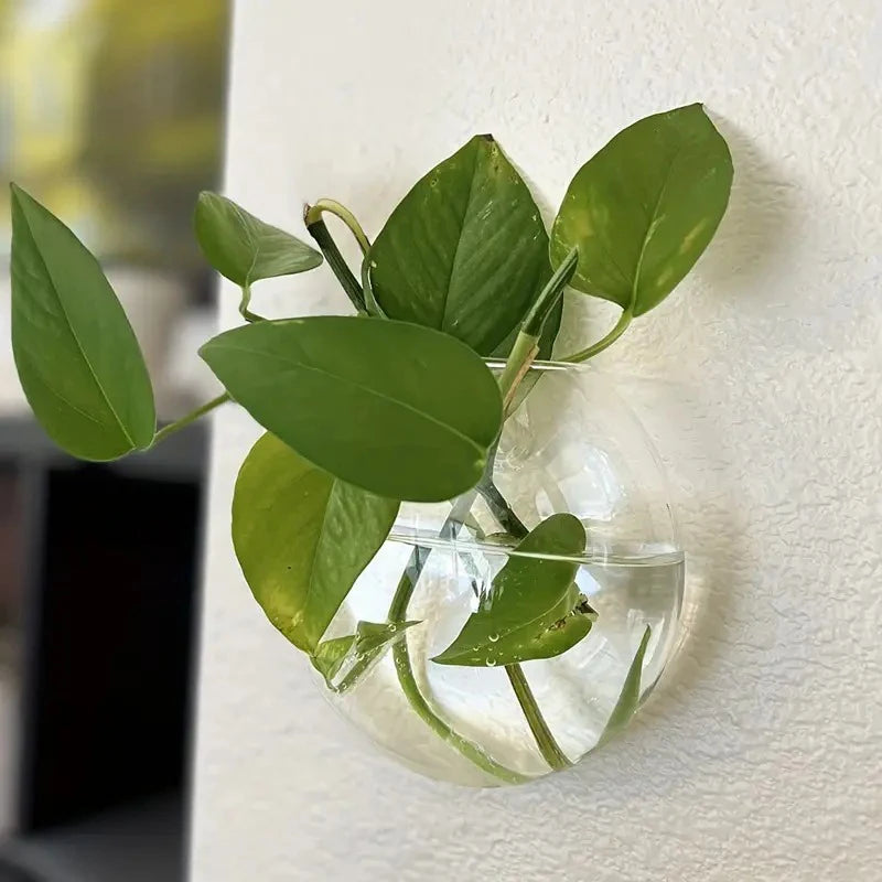 Wall-Mounted Glass Vase, Wall Hanging Hydroponic Glass Flowerpot, Transparent Half Globe Shape Glass Plant Container, Fish Tank